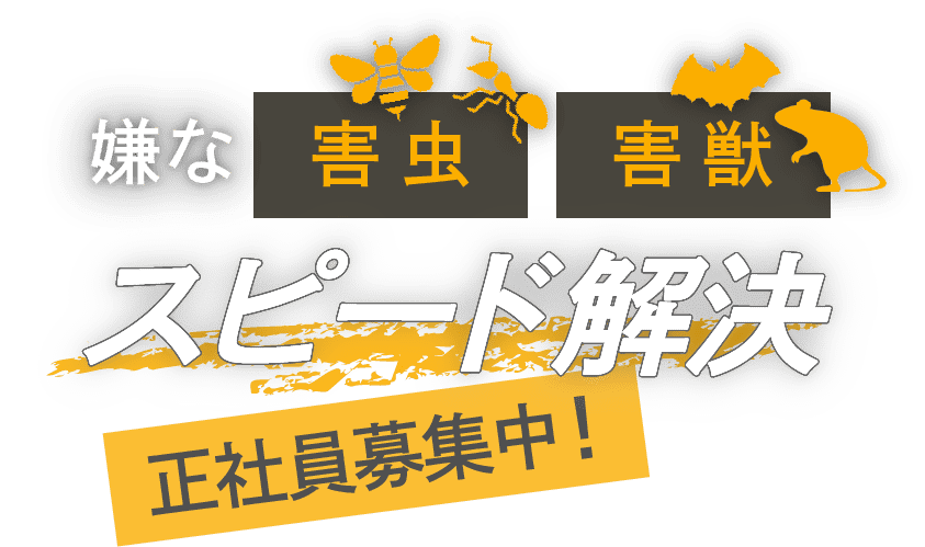 嫌な害虫・害獣　スピード解決　求人も募集中！