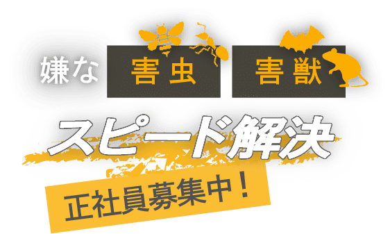 嫌な害虫・害獣　スピード解決　求人も募集中！