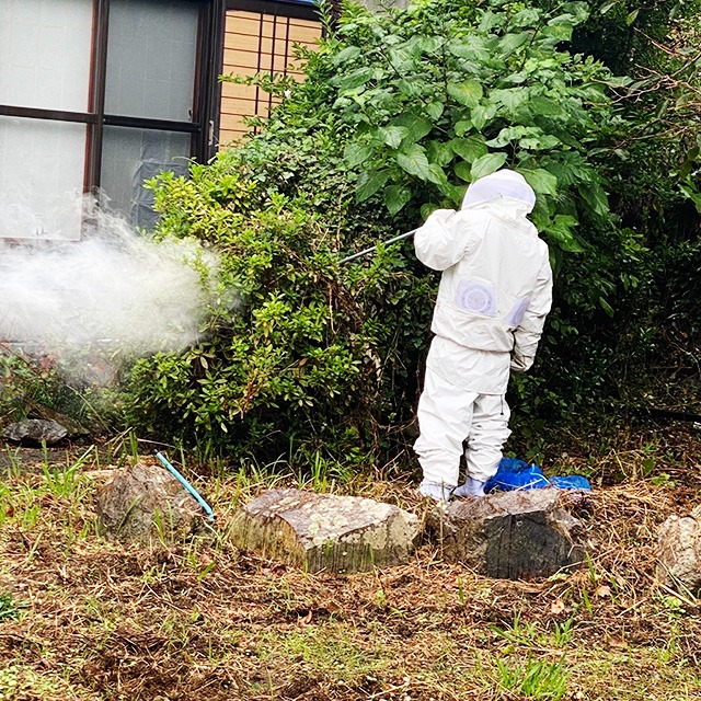 ホームページ開設しました